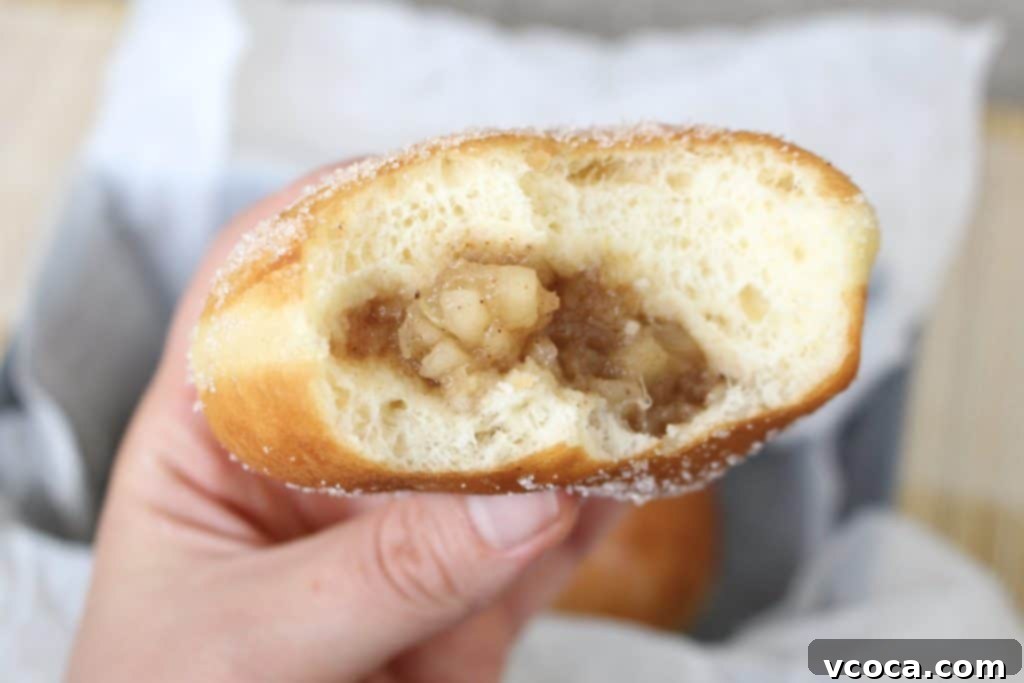Spiced Apple Doughnuts 6 Apple Doughnuts