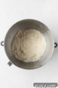 Dry ingredients in the bowl of a stand mixer.