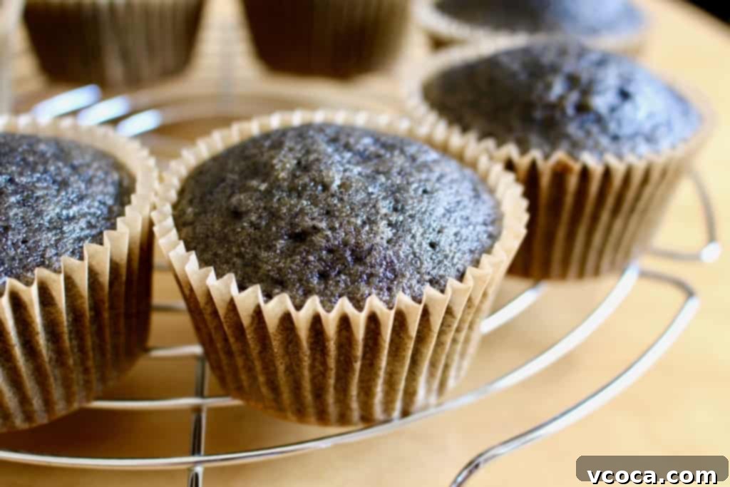 Spooky Black Sesame Eyeball Cupcakes 4 Baked black sesame cupcakes cooling on a wire rack, ready for frosting.