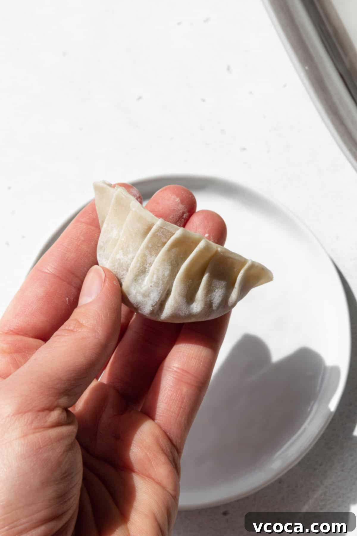Plant-Based Vegetable Gyoza 11 Completed vegetable gyoza.