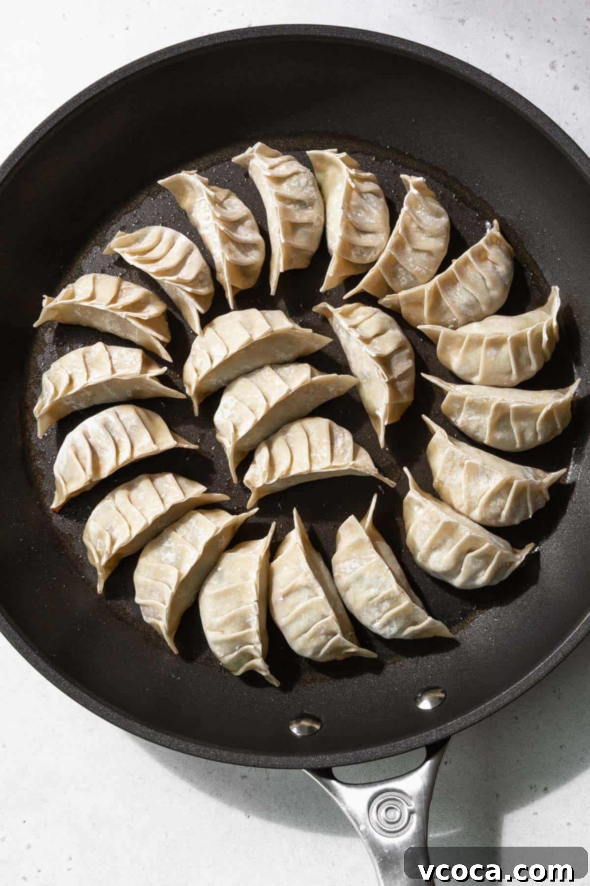 Plant-Based Vegetable Gyoza 12 Uncooked gyoza lined on a greased nonstick frying pan.