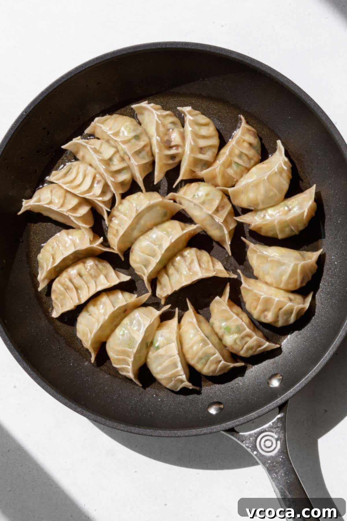 Plant-Based Vegetable Gyoza 13 Cooked vegan gyoza on a frying pan.