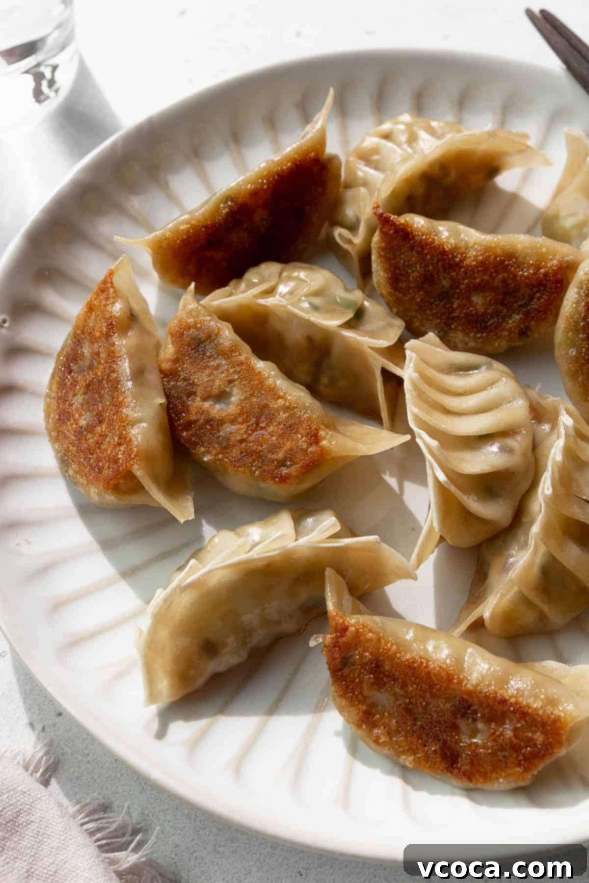 Plant-Based Vegetable Gyoza 14 A close up shot of veggie dumplings.