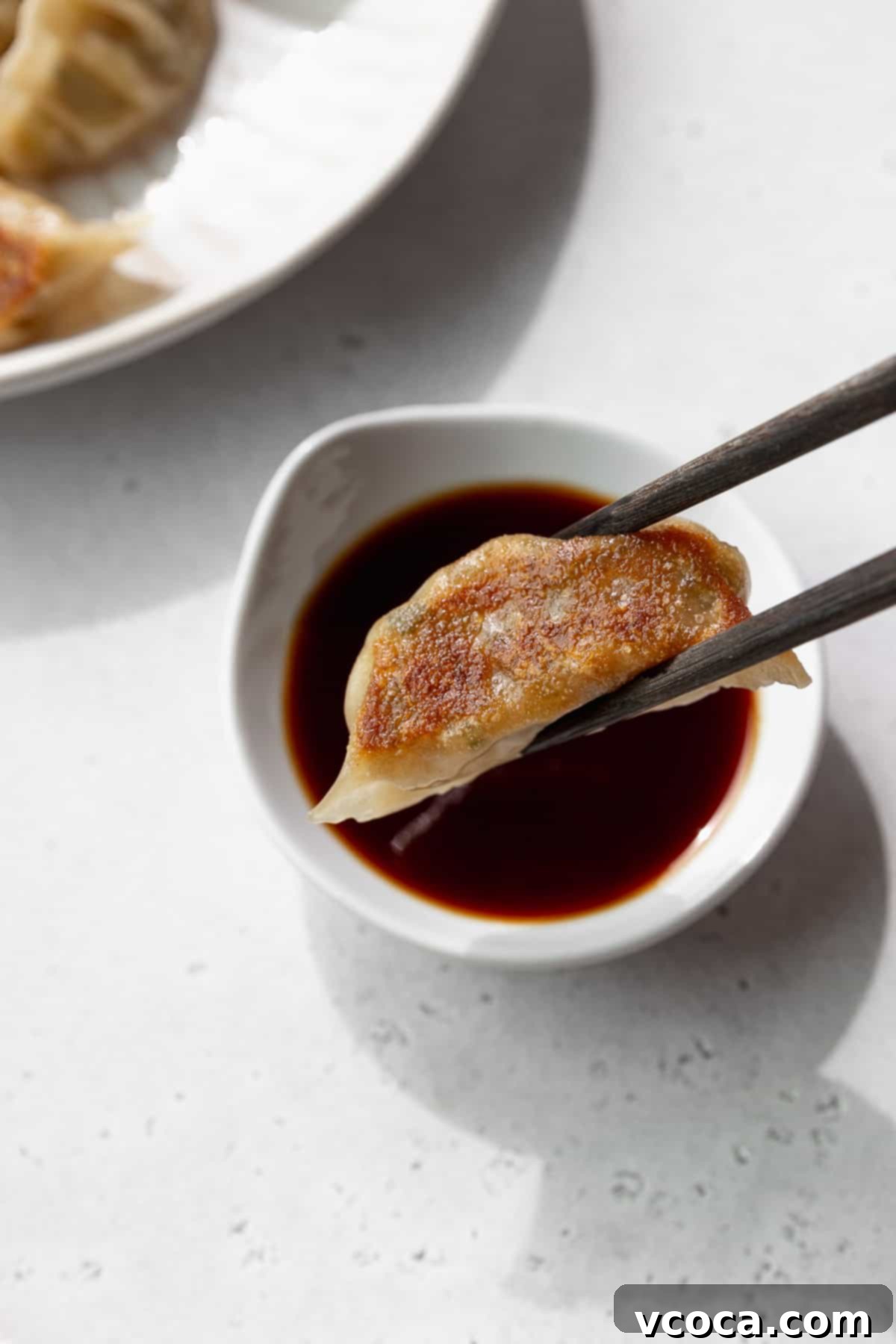 Plant-Based Vegetable Gyoza 16 A veggie dumpling being dipped into sauce.