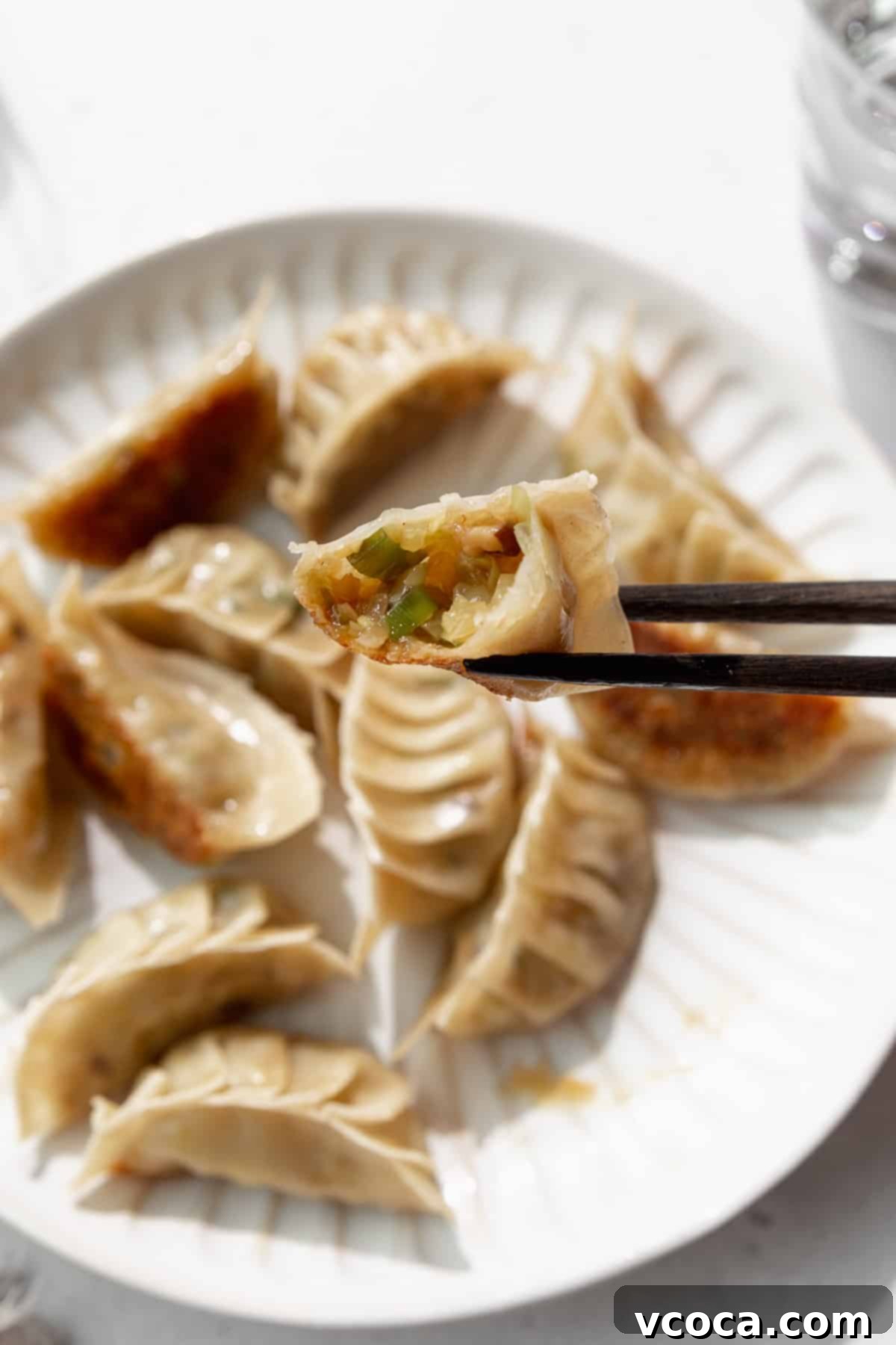 Plant-Based Vegetable Gyoza 17 Chopsticks holding a bitten vegetable dumpling.