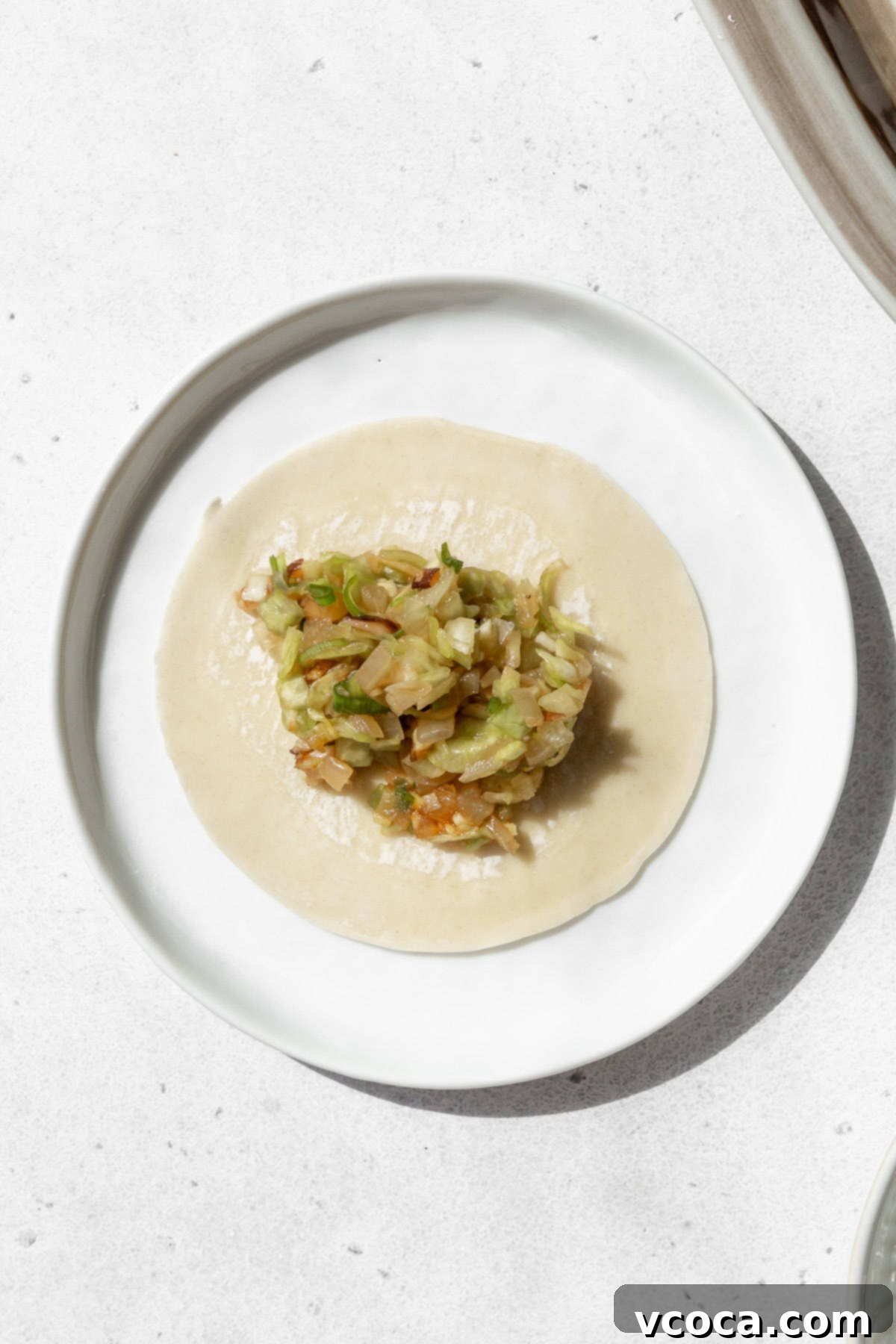 Plant-Based Vegetable Gyoza 9 A spoonful of vegetable filling on a gyoza wrapper with the edges moistened with water.