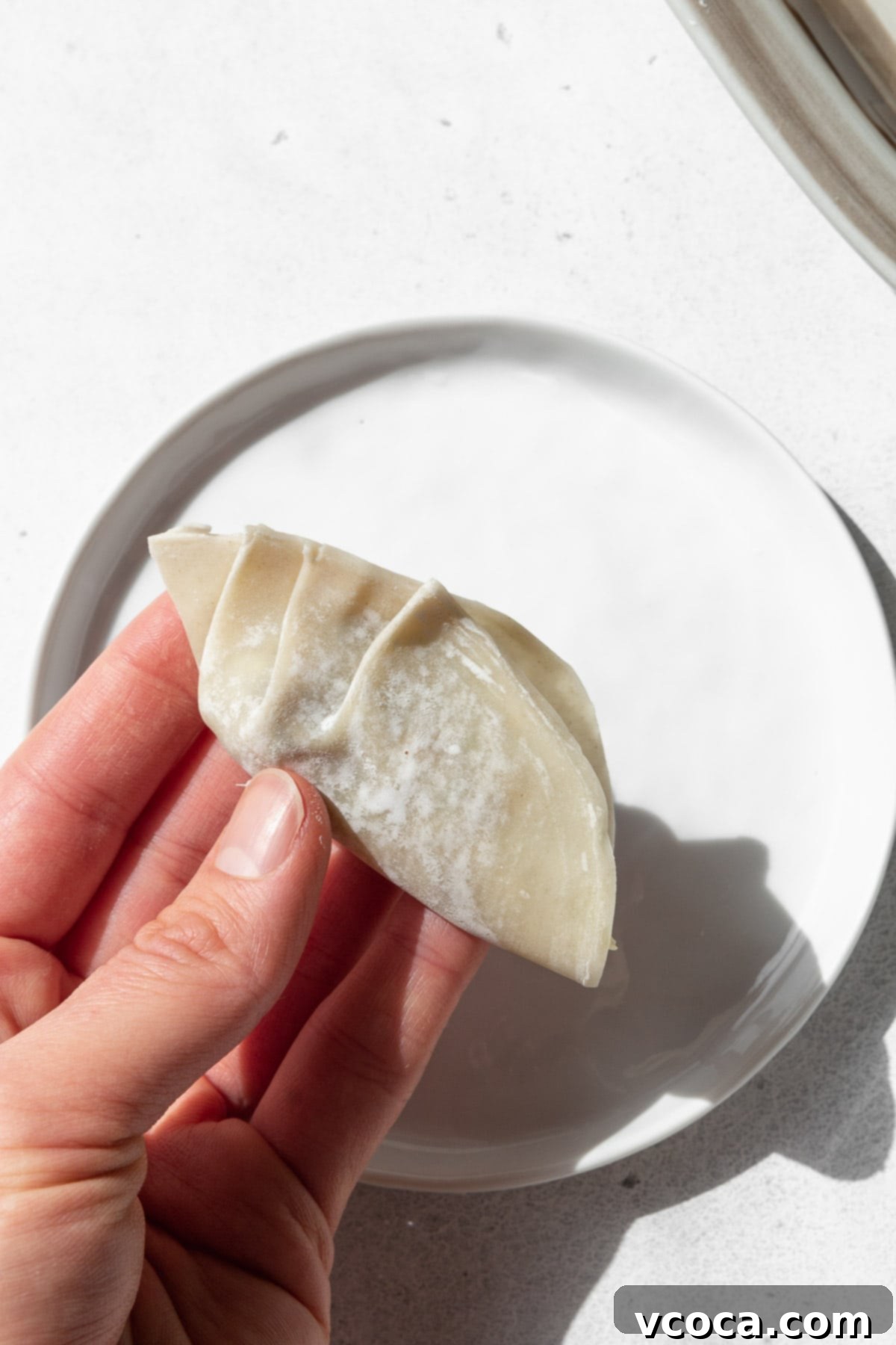 Plant-Based Vegetable Gyoza 10 Make pleats on the dumpling wrapper using your fingers.