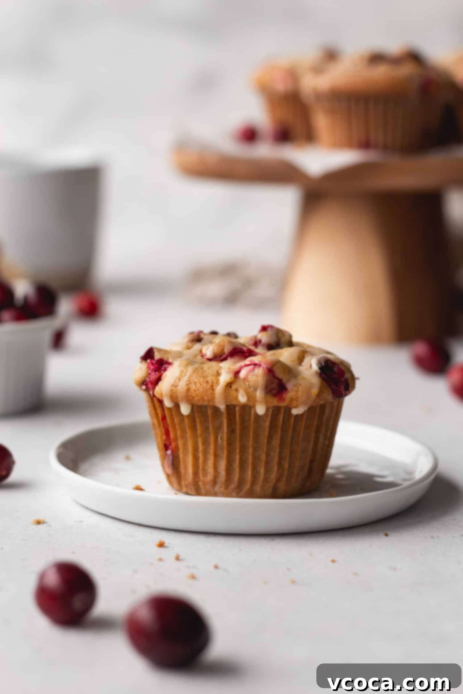 Zesty Orange Cranberry Muffins 2 A perfectly baked, golden-brown gluten-free cranberry orange muffin on a pristine white plate, showcasing its fluffy texture and vibrant cranberry pieces.