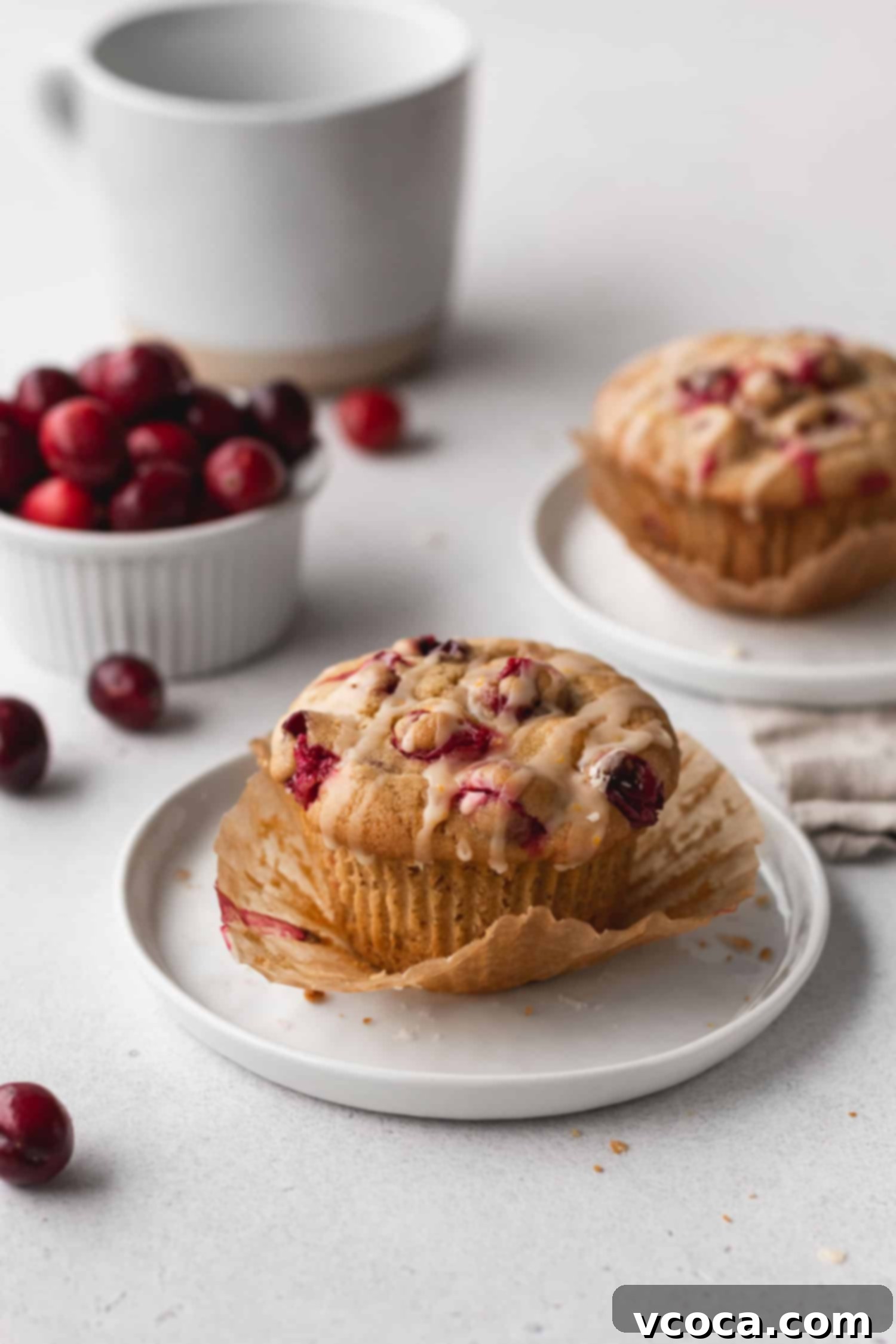 Zesty Orange Cranberry Muffins 5 A single, perfectly baked gluten-free and dairy-free cranberry orange muffin, gently placed on a white plate, highlighting its golden-brown top and inviting texture.