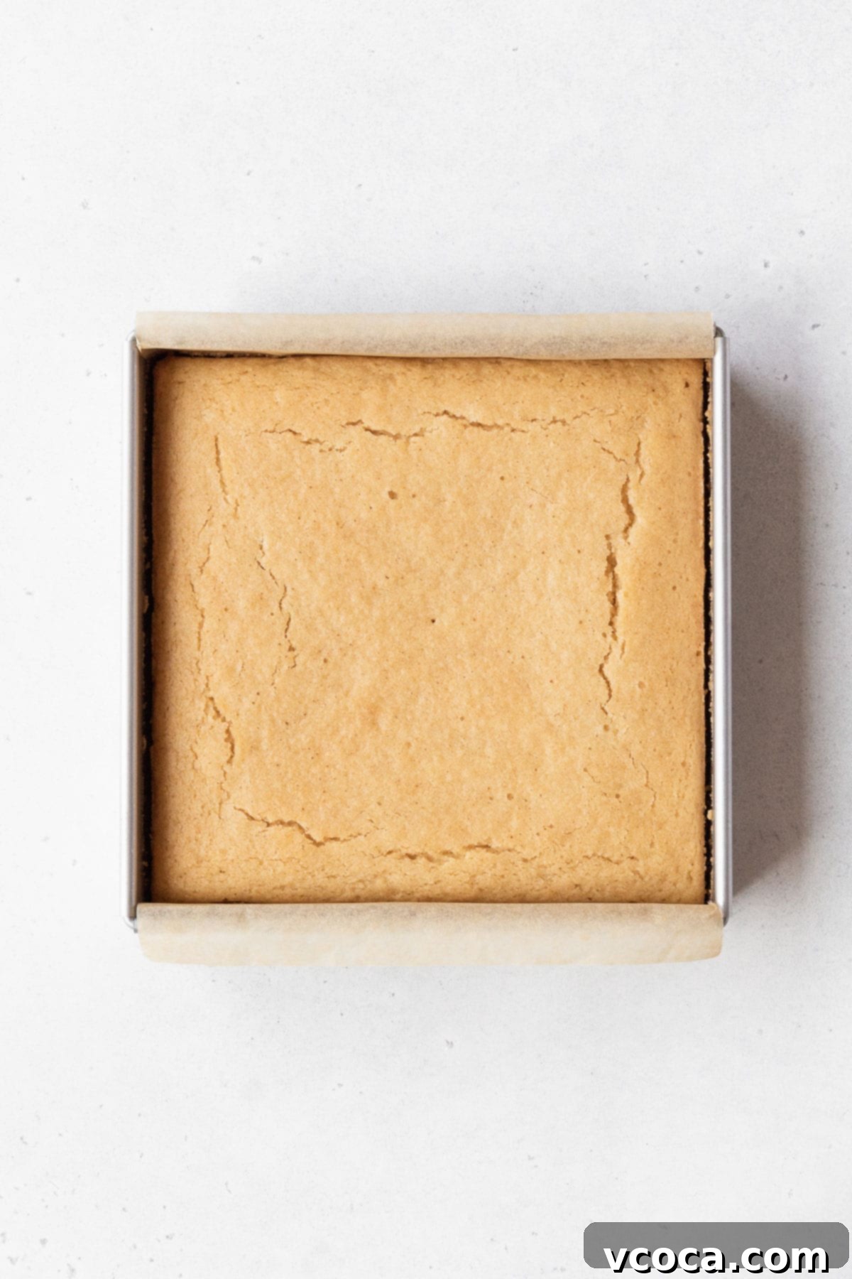 An 8x8-inch pan reveals a beautifully golden-brown, baked gluten-free and dairy-free tres leches cake, cooled and ready for the next delicious step of the recipe.
