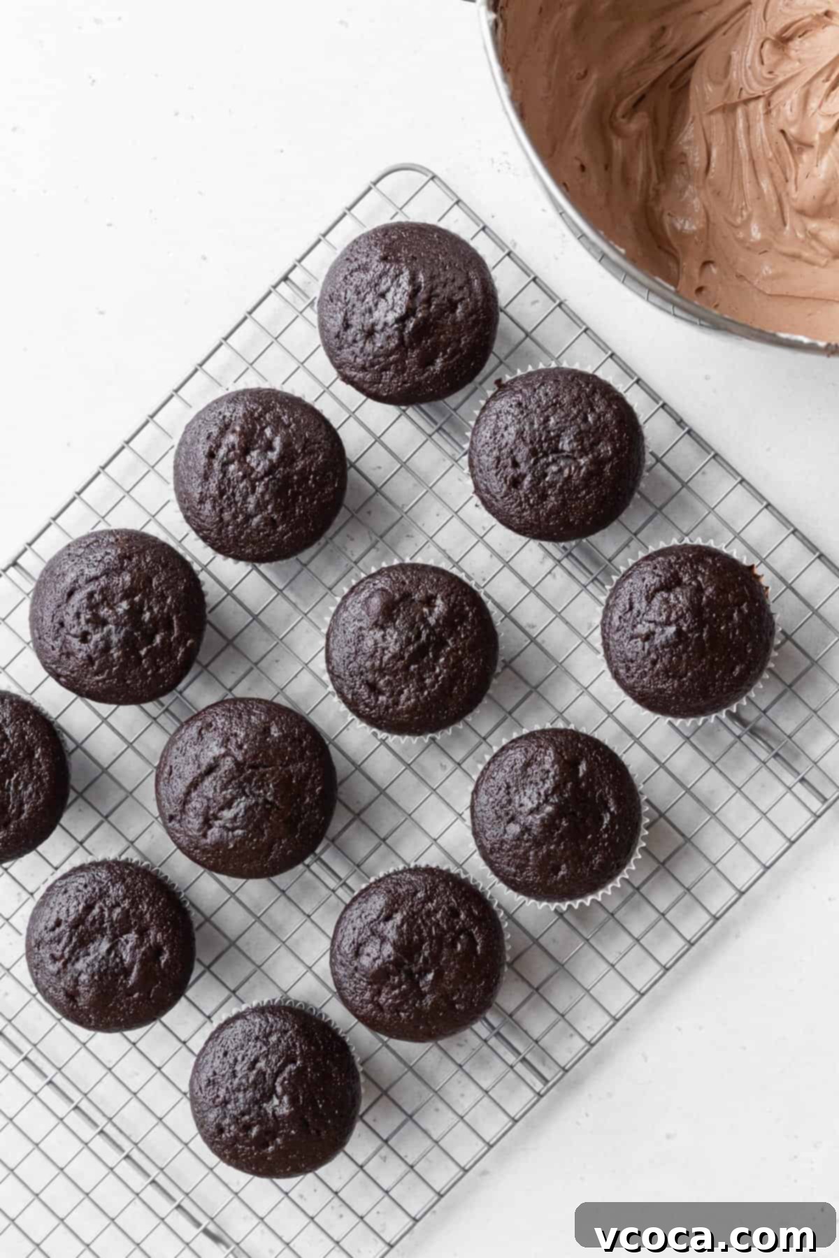 Velvety Chocolate Cupcakes 12 Unfrosted chocolate cupcakes cooling on a wire rack.