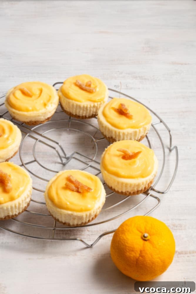 Yuzu Cheesecake Japanese Fusion 11 Yuzu cheesecake is my FAVORITE cheesecake! The cheesecakes are rich and creamy, which pairs perfectly with the zesty and tangy yuzu curd.