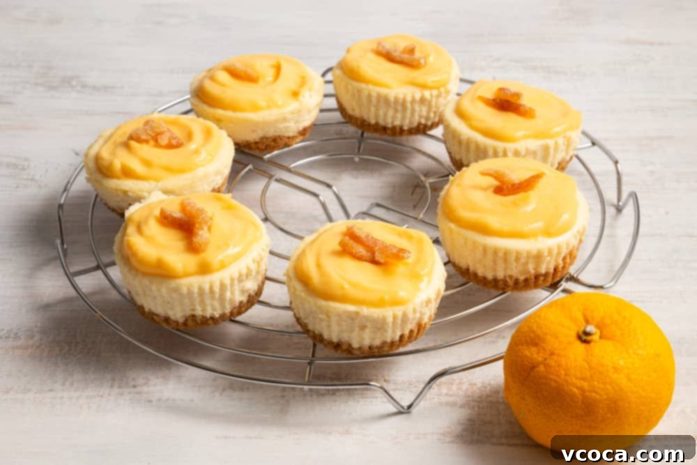 Yuzu Cheesecake Japanese Fusion 4 Yuzu cheesecake offers a delightful contrast of rich, creamy cheesecake and bright, zesty yuzu curd.