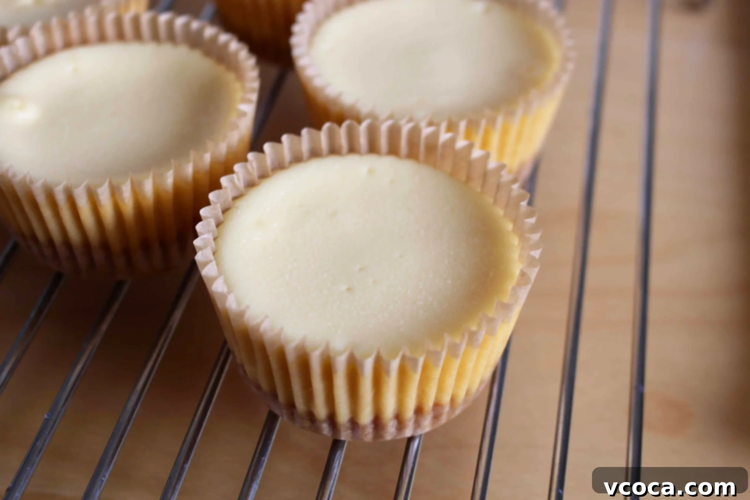 Yuzu Cheesecake Japanese Fusion 6 Freshly baked individual cheesecakes, golden and ready for their luscious yuzu curd topping.
