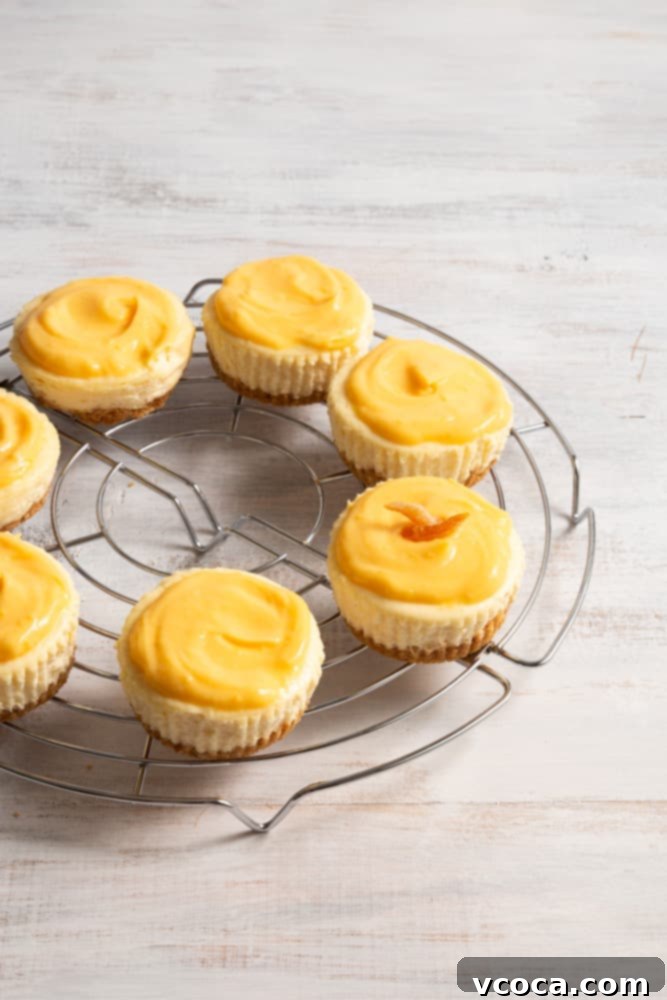 Yuzu Cheesecake Japanese Fusion 7 A delicious Yuzu cheesecake with a creamy texture, perfect for a refreshing dessert.