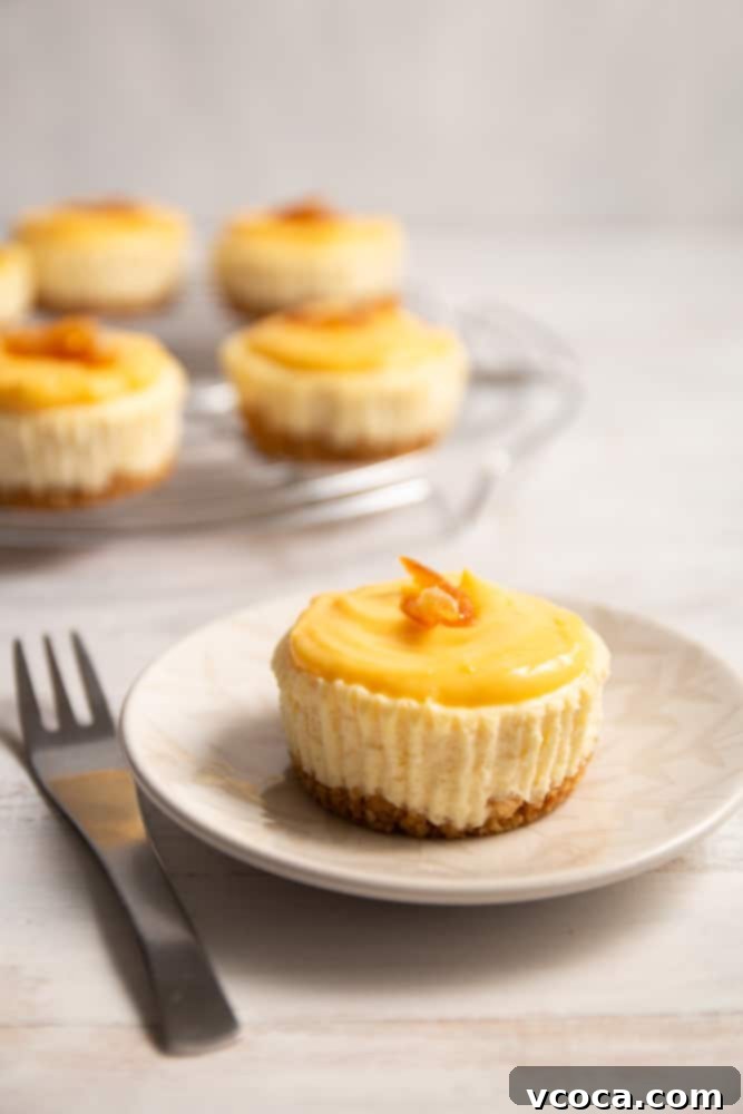 Yuzu Cheesecake Japanese Fusion 9 The exquisite texture of a Yuzu cheesecake slice, showcasing its creamy interior.