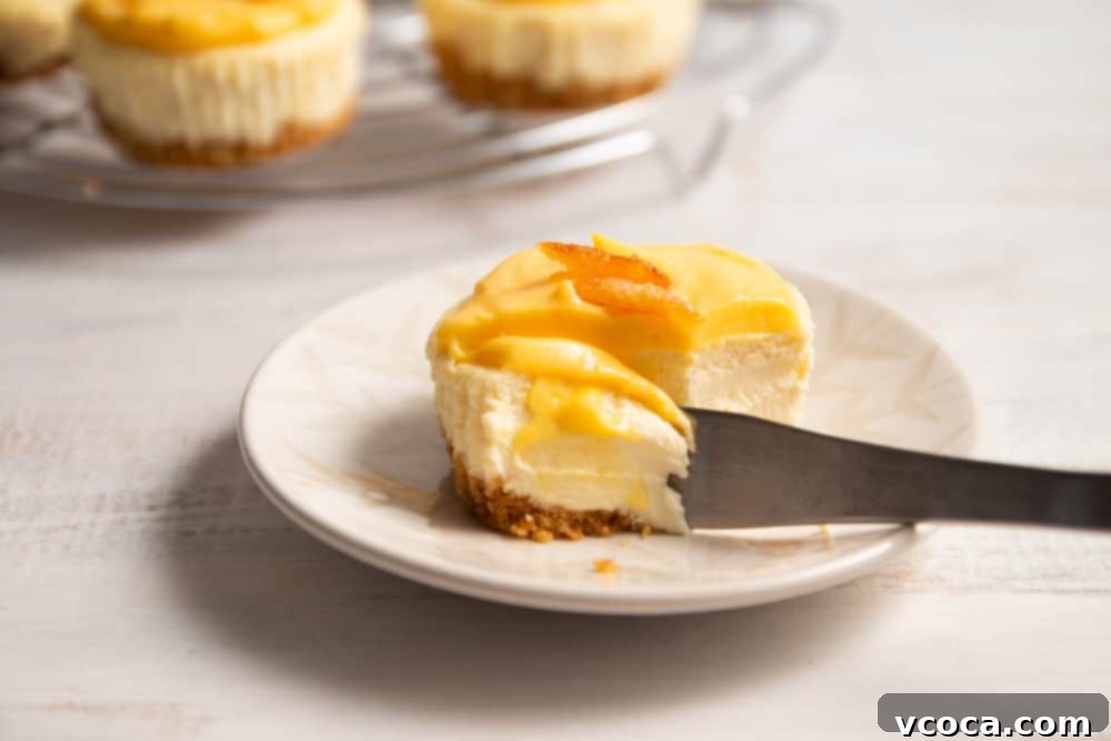 Yuzu Cheesecake Japanese Fusion 10 Beautifully plated individual Yuzu cheesecake, inviting you to take a bite.