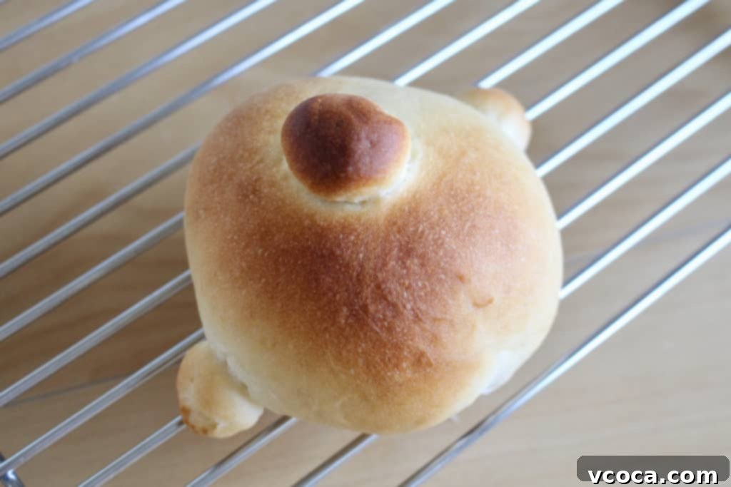 Cream Cheese & Blueberry Sweet Rolls 7 Dough shaped into a face with nose and ears, ready to rise