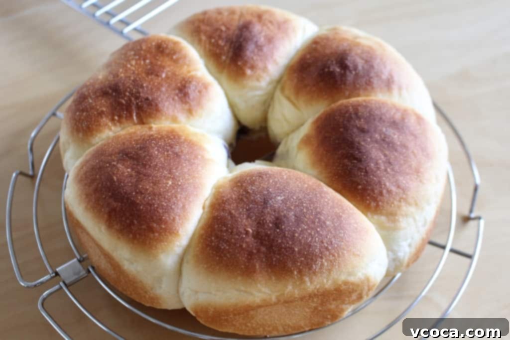 Cream Cheese & Blueberry Sweet Rolls 8 Freshly baked golden-brown blueberry cream cheese buns