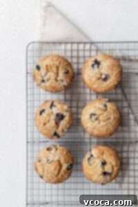 Gluten free blueberry muffins on a wire rack.