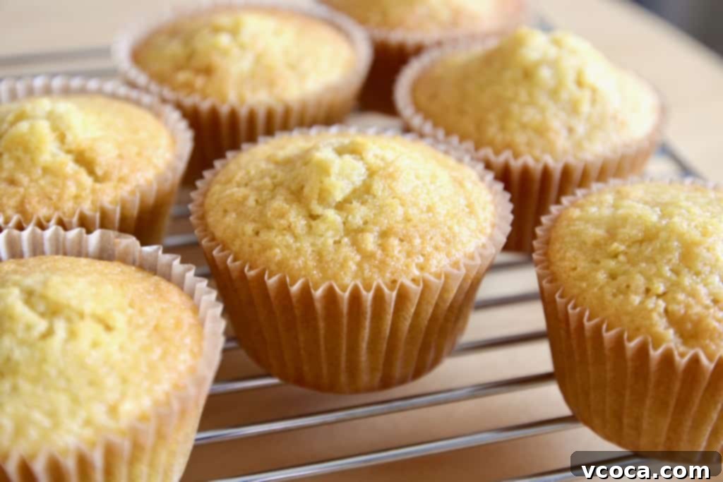 Sweet Corn Cupcakes with Blackberry Corn Frosting 3 Freshly baked corn cupcakes cooling on a wire rack to maintain moisture.
