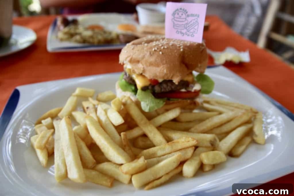 Our Koh Samui Honeymoon Delivered More Than Memories 16 A classic cheeseburger with a side of golden fries, served on a plate at Homemade Burgers and Sandwiches.