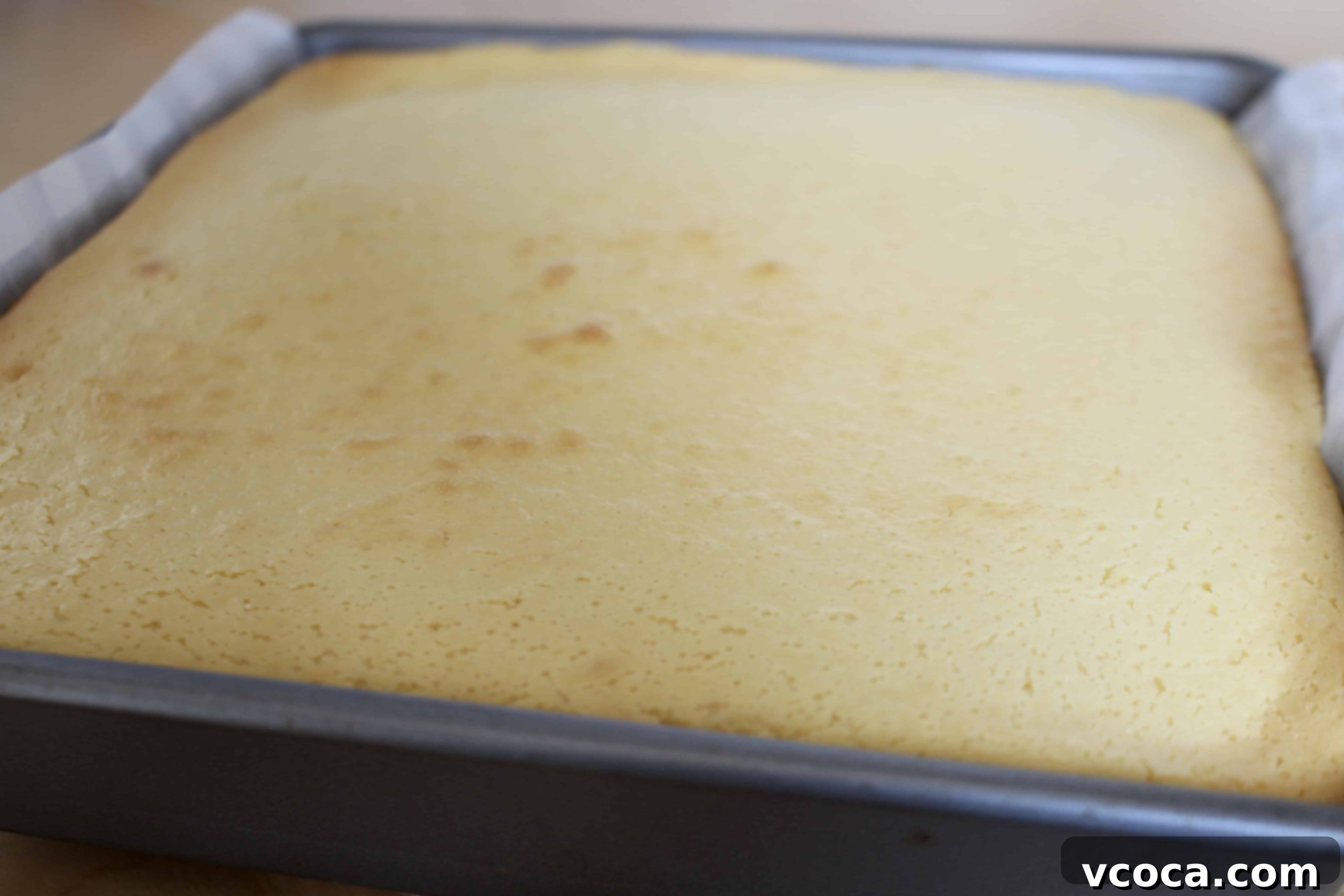 Smooth cheesecake batter poured over the biscuit crust in a pan, ready for baking
