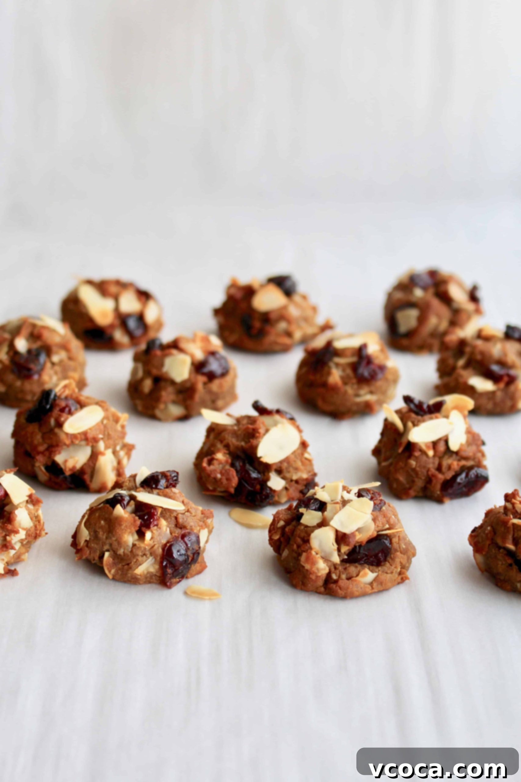 Simple Milk-Boosting Bites 2 Lactation cookies with almonds and cranberries