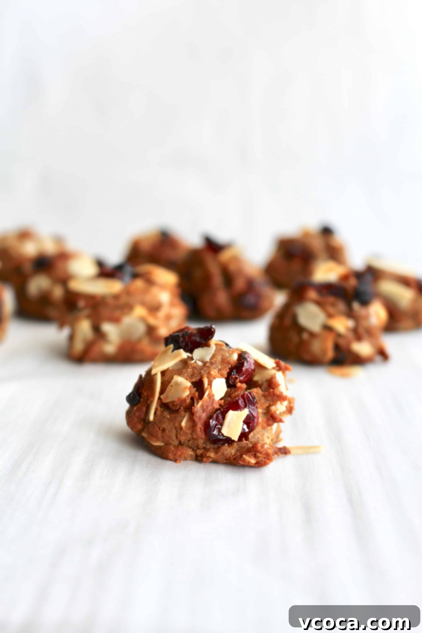 Simple Milk-Boosting Bites 3 Chickpea cookies with dried cranberries
