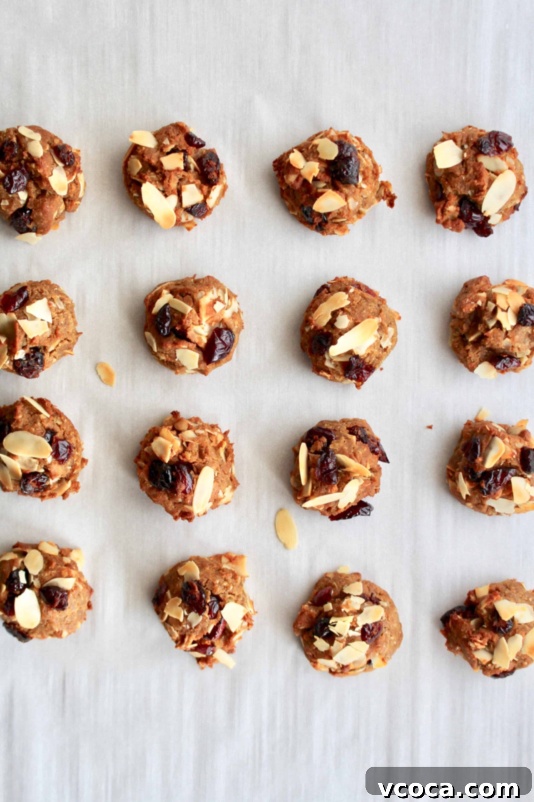 Simple Milk-Boosting Bites 4 Lactation cookies with dried berries and nuts