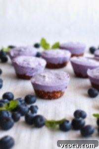Perfectly unmolded vegan blueberry cheesecake bites, ready to be served or garnished.