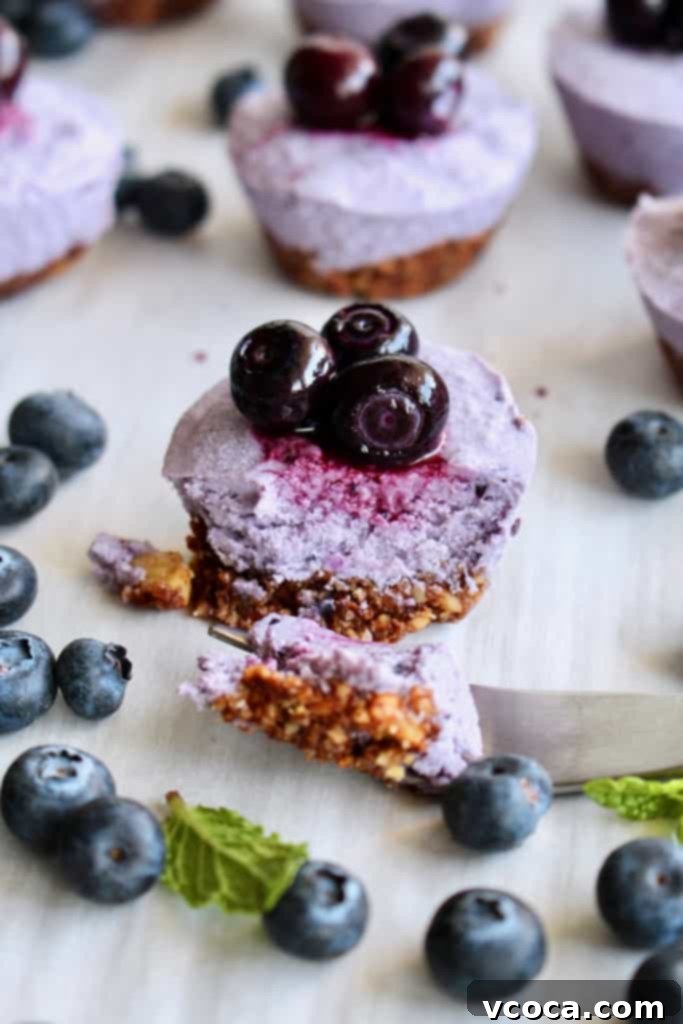 Effortless Blueberry Cheesecake Treats 8 Close-up of a single blueberry cheesecake bite cut in half, revealing the incredibly creamy and luscious texture of the filling and the distinct crust layer.