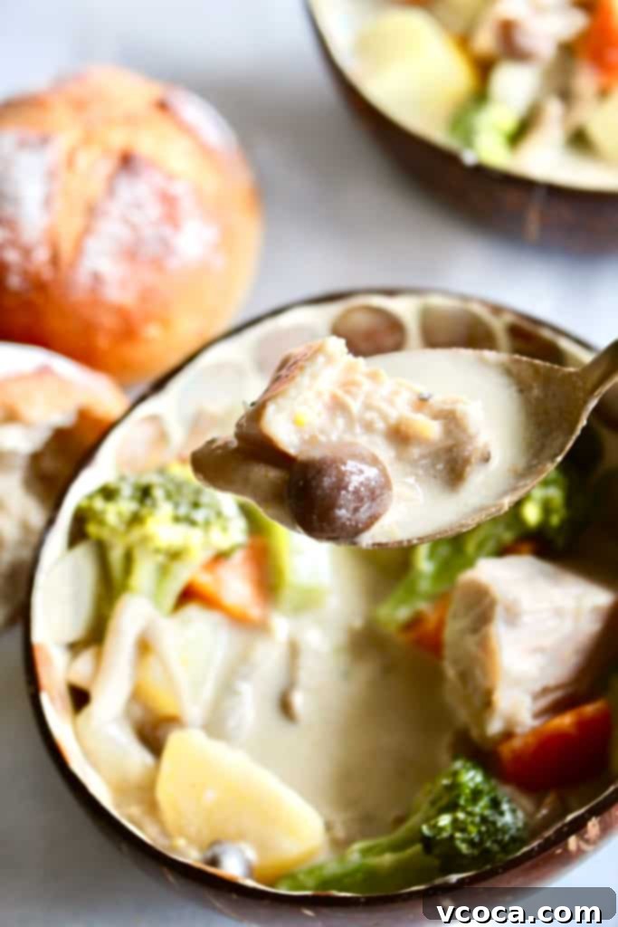 Vegan Japanese Cream Stew with Jackfruit 9 A bowl of Vegan Japanese Cream Stew photographed from above, highlighting its rich, creamy texture and vibrant vegetable medley. The presentation is appealing and inviting, suggesting a comforting meal.