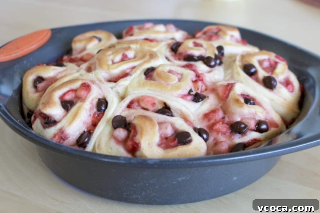 Decadent Strawberry Chocolate Rolls 7 Strawberry chocolate rolls after their second rise, before baking