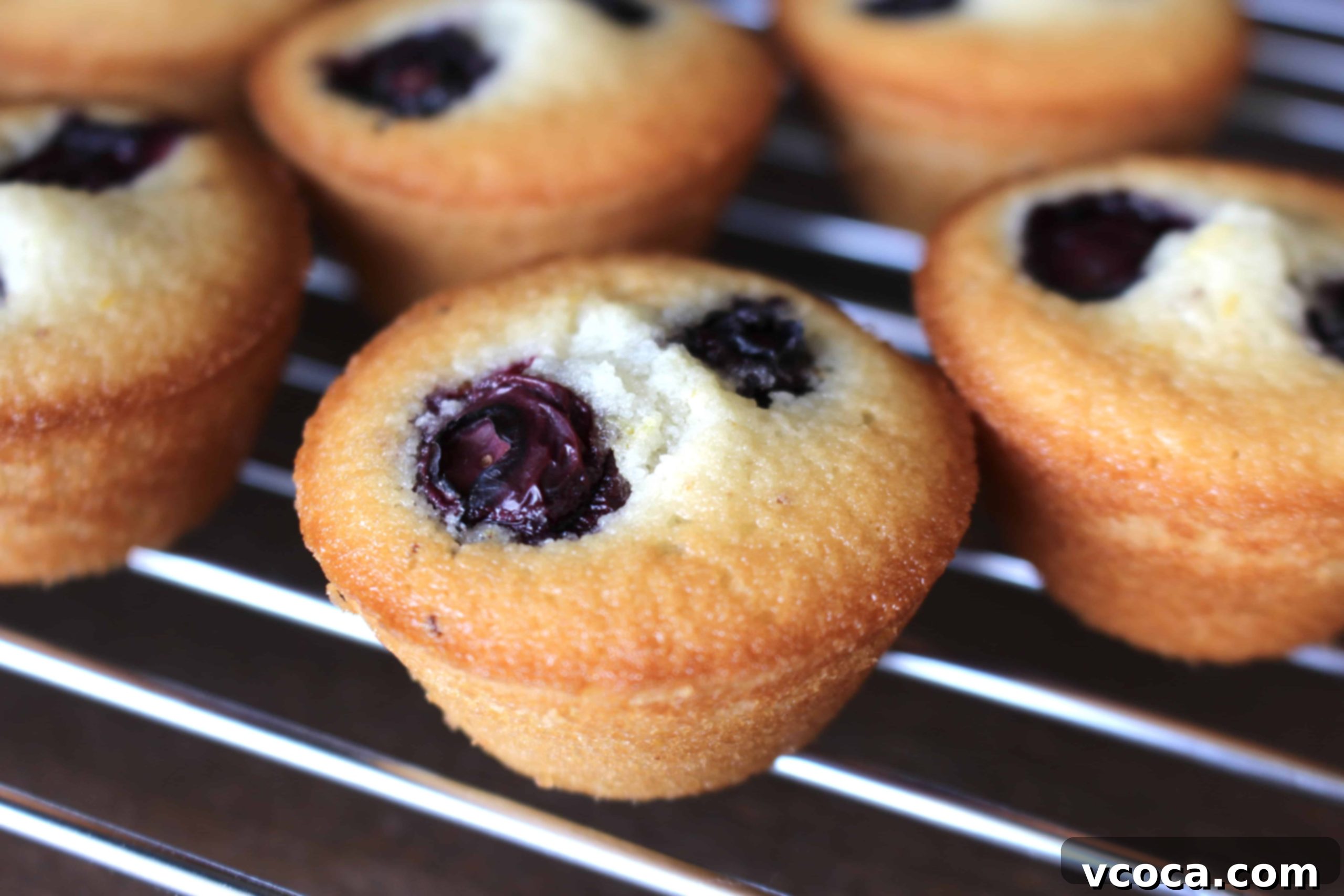 Blueberry Financiers
