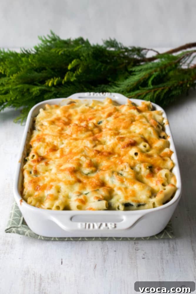 Creamy Umami Vegan Macaroni Gratin 3 A bubbling white casserole dish filled with perfectly baked vegan macaroni au gratin, fresh out of the oven with a golden-brown crust.