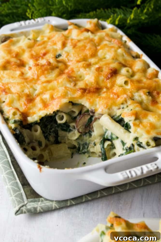 Creamy Umami Vegan Macaroni Gratin 6 A large casserole dish filled with the creamy and delicious vegan macaroni gratin, bubbling and golden brown, ready to be served family-style.