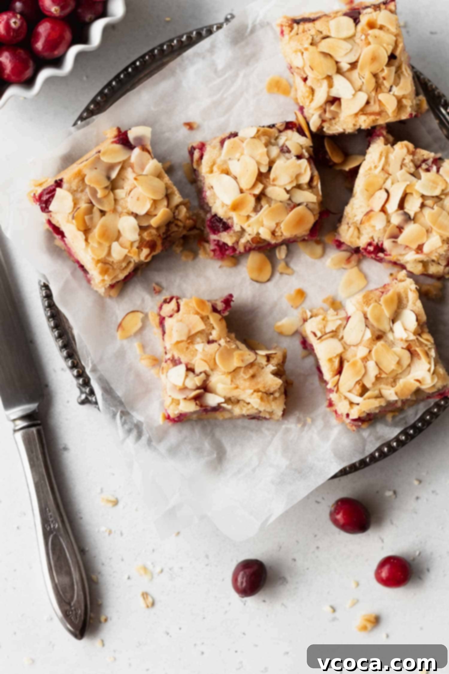 Gluten Free and Dairy Free Cranberry Oat Bars 4 Individual gluten-free cranberry oat bars with a visible jammy cranberry layer.