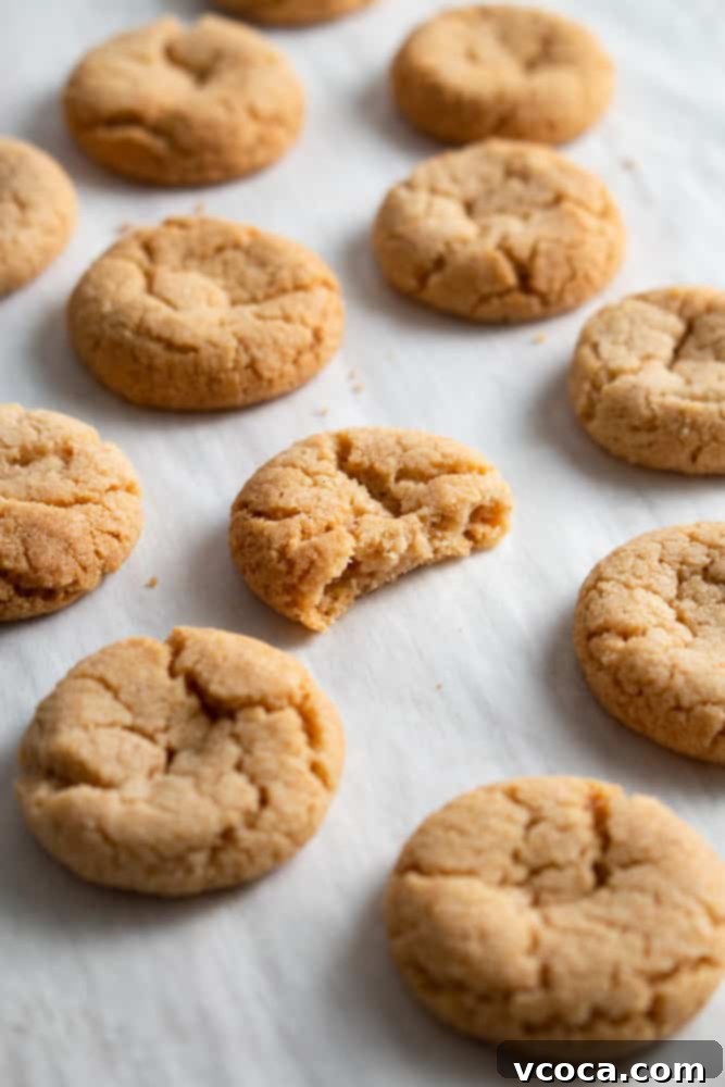 Creamy Vegan Banana Pudding 10 Delicious homemade nilla wafers for this easy no bake dessert!