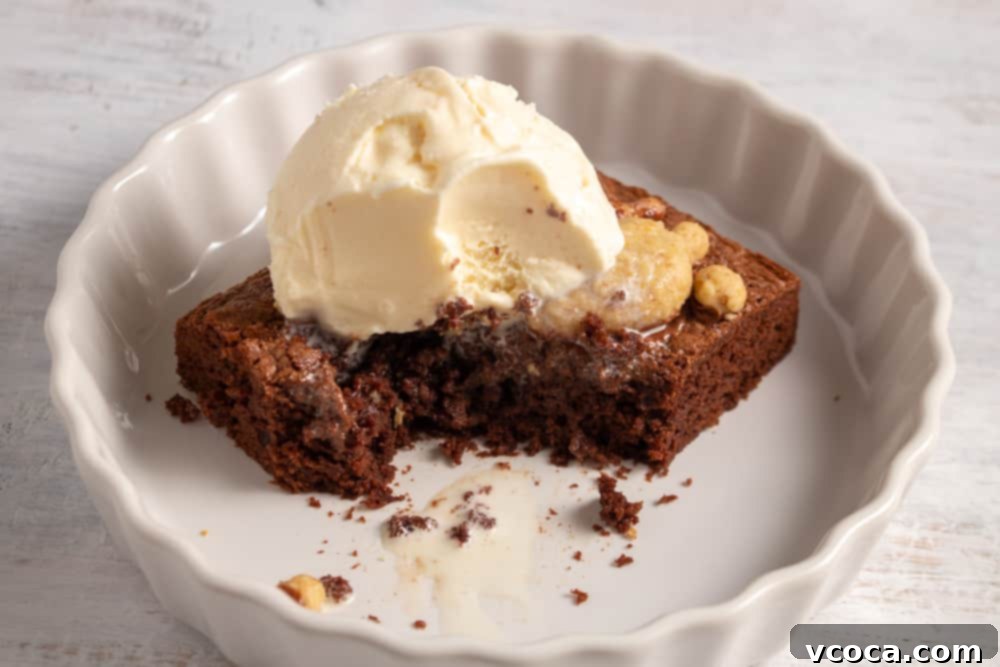 Sweetheart Teddy Bear Brownies 7 A Teddy Bear Brownie served warm with a scoop of melting vanilla ice cream, creating an irresistible dessert experience.