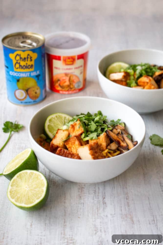 Quick and Easy Vegan Thai Red Curry Ramen 7 A beautifully assembled bowl of vegan Thai red curry ramen, ready to be enjoyed.
