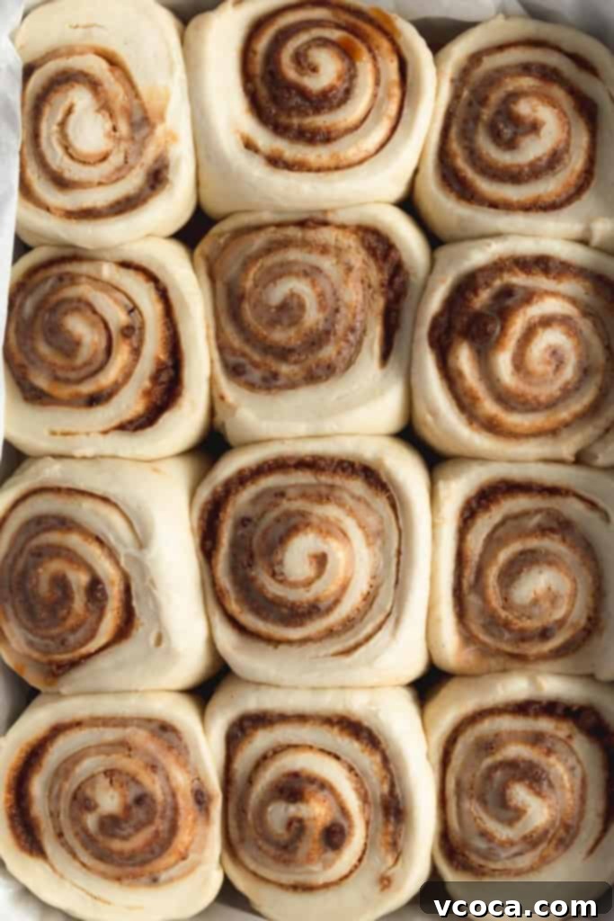 Pillowy Vegan Cinnamon Rolls with Dreamy Cashew Cream Frosting 6 The trick to a beautifully swirled cinnamon roll is to roll out the dough thinly before adding the filling