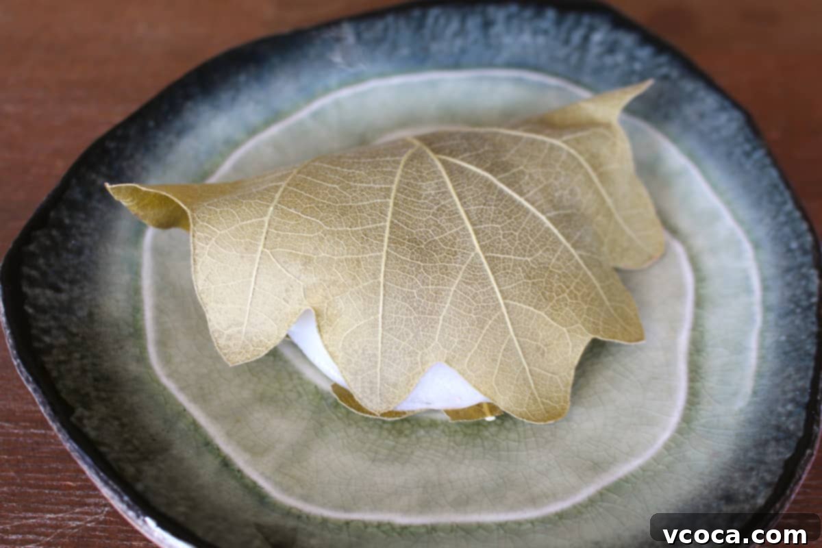 Kashiwa mochi wrapped in the traditional oak leaf on a hand thrown ceramic plate.