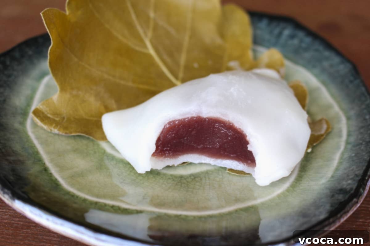 Kashiwa mochi with a bite taken out on top of the kashiwa oak leaf on a blue plate.