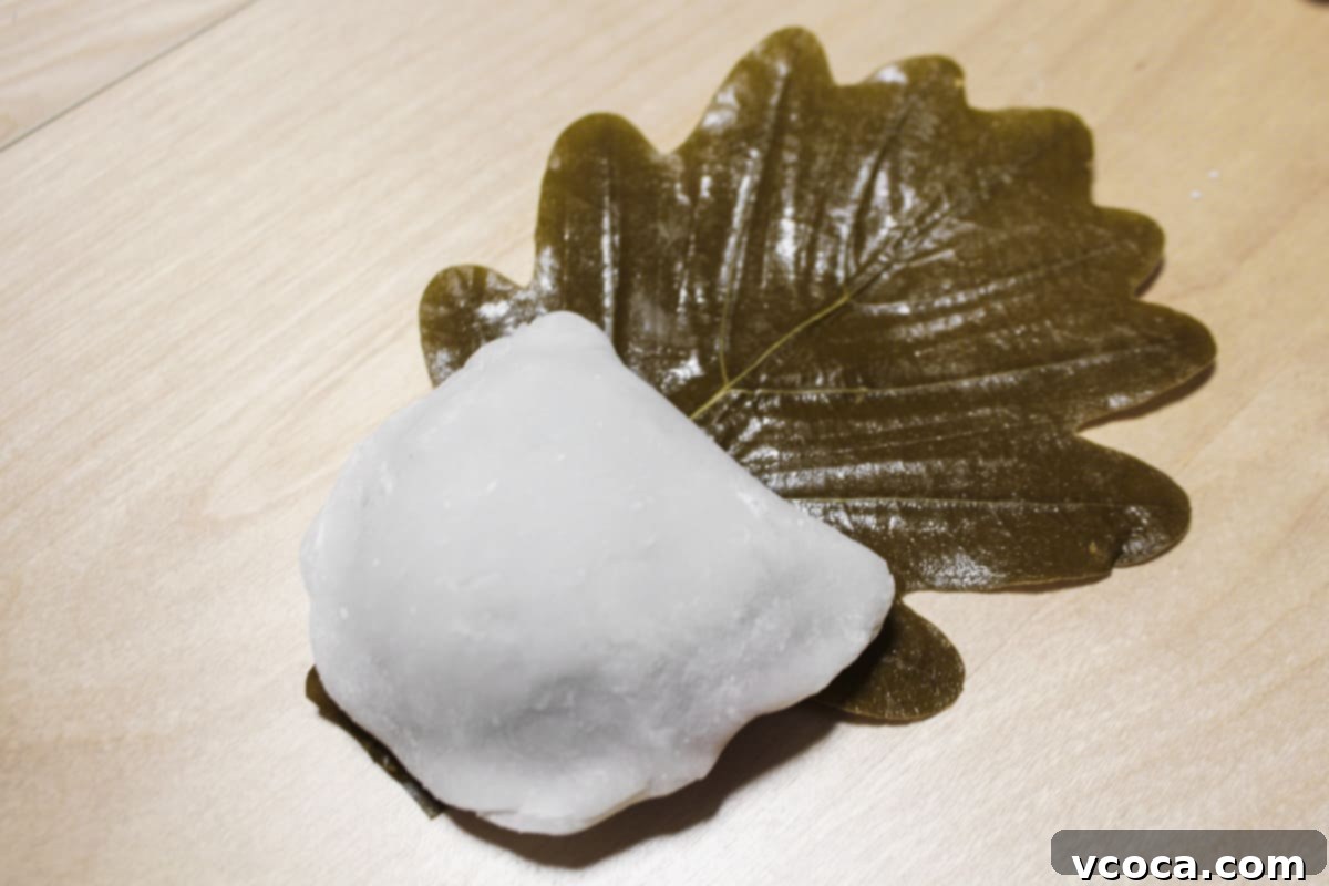 Kashiwa mochi has been folded in half like a clam and is wrapped in a kashiwa leaf.