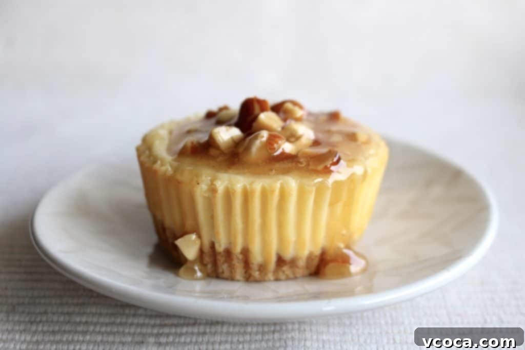 Decadent Honey Almond Gouda Cheesecakes 2 Honey Almond Gouda Cheesecake topped with golden honey and crunchy almonds