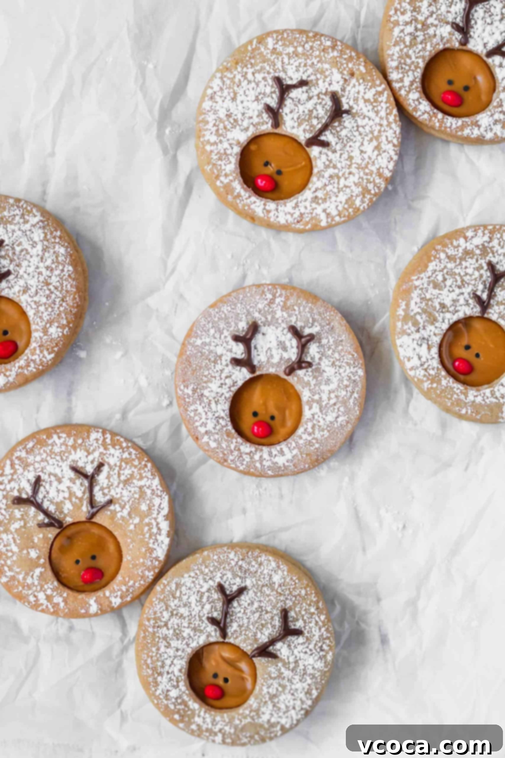 Rudolph's Holiday Reindeer Cookies 6 Reindeer cookies dusted with powdered sugar on a white surface.