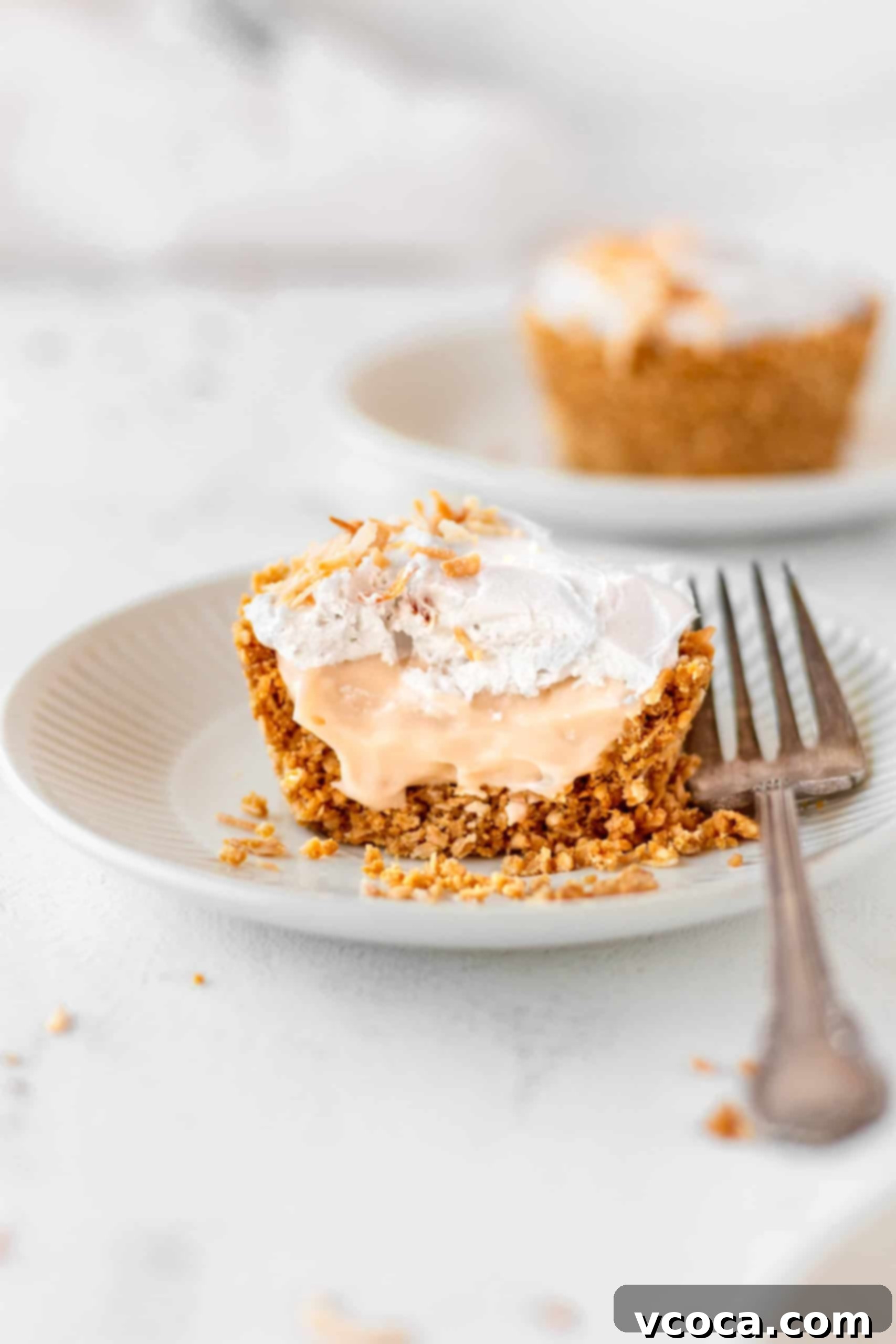 Mini Vegan & Gluten-Free Coconut Cream Pies 6 A close-up of a vegan and gluten-free coconut cream pie on a plate, showing the creamy texture and toasted coconut.