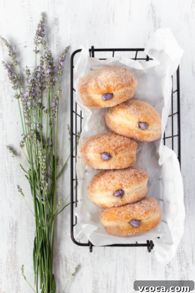 Super fluffy homemade blueberry cream cheese doughnuts made with a bread machine.