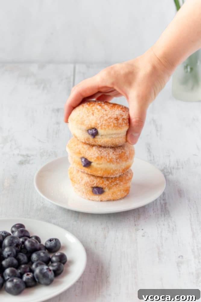 Freshly fried and sugar-coated doughnuts ready for filling.